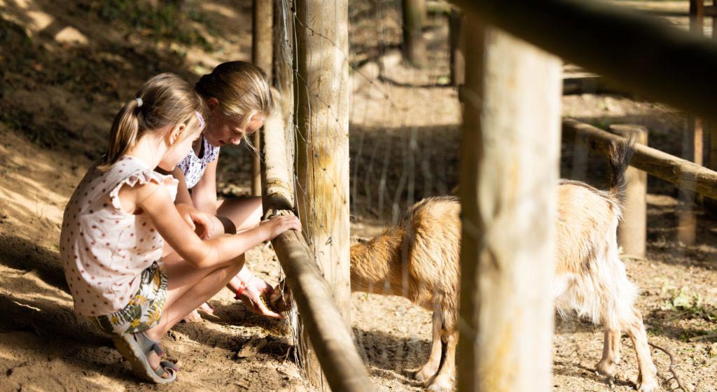 Camping Paimpol calme et familial