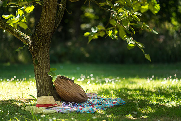 aller au camping paimpol