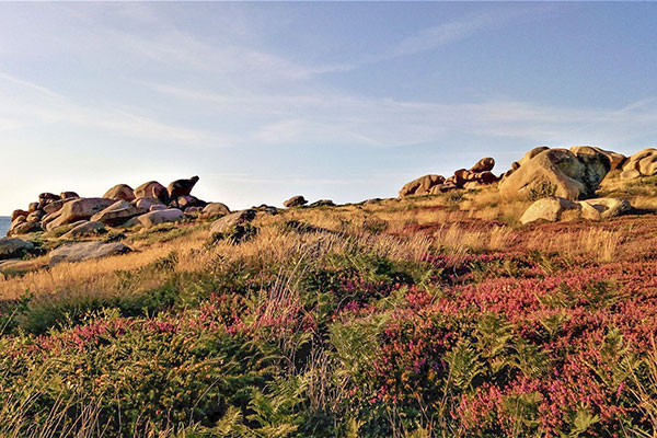 camper côte de granit rose