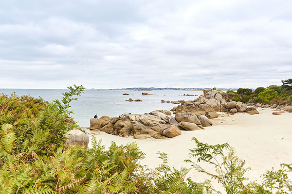 ploumanach plage cote de granitrose