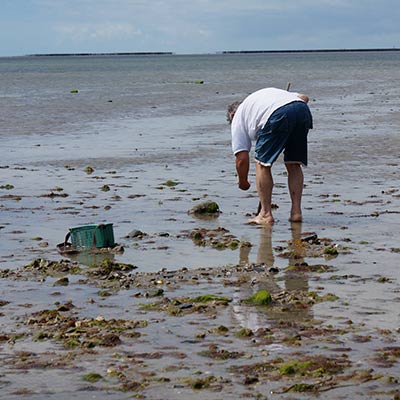 pêche à pied à Paimpol