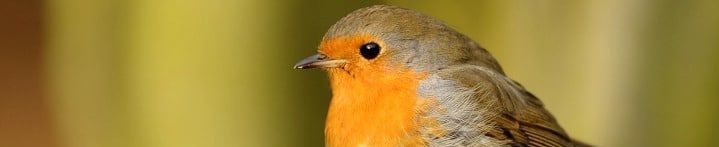 Camping Sites et Paysages Le Neptune LPO Bretagne Côtes d'Armor