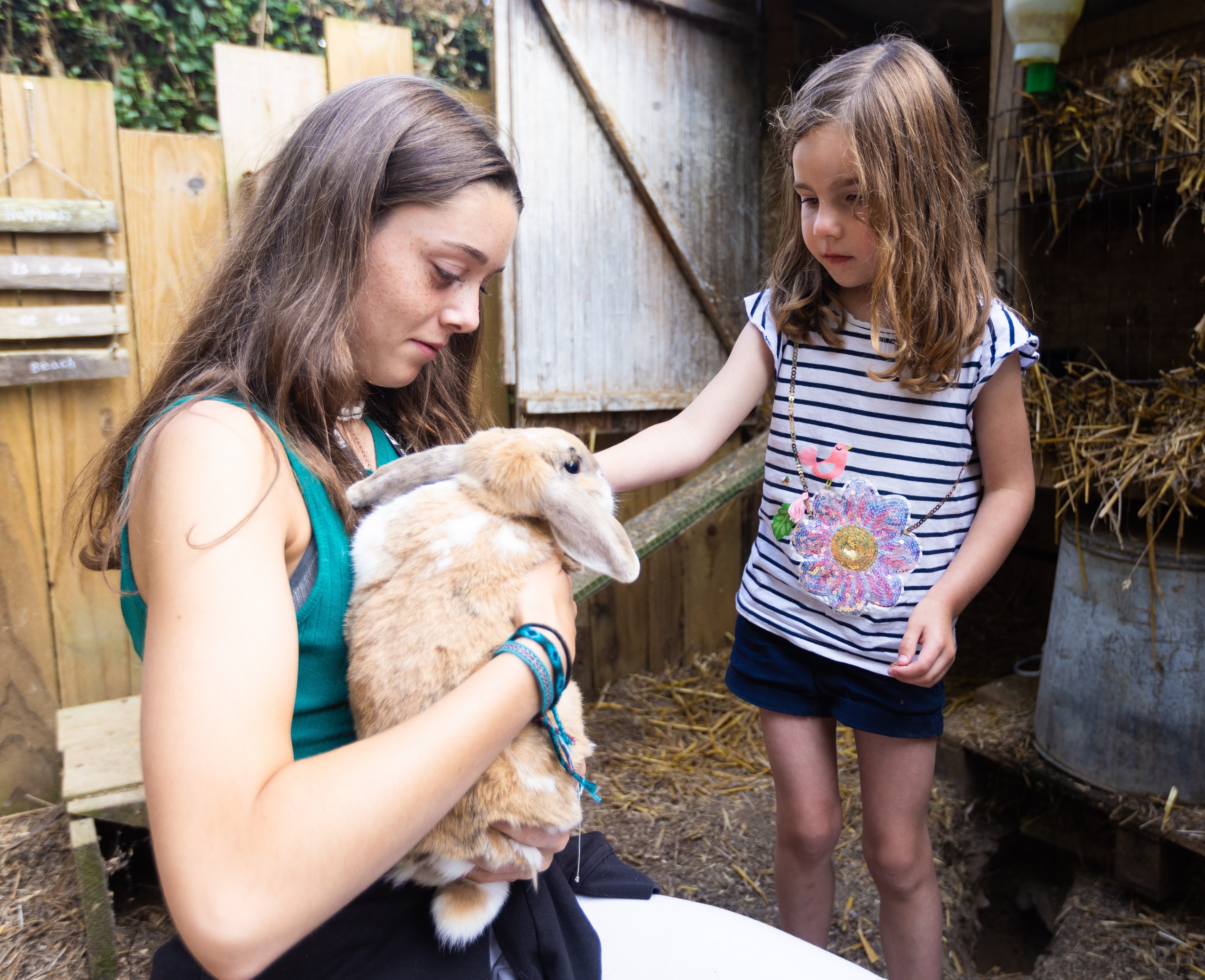 Camping avec Mini ferme Le Neptune Proche Paimpol